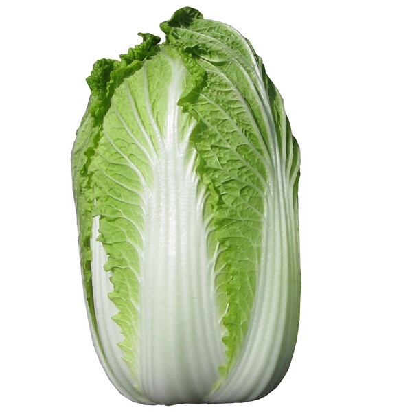 [FR1979-011] Chinese Cabbage (Pcs)