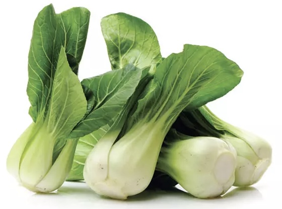 [FR1979-020] Mini Pak Choi (Kg)
