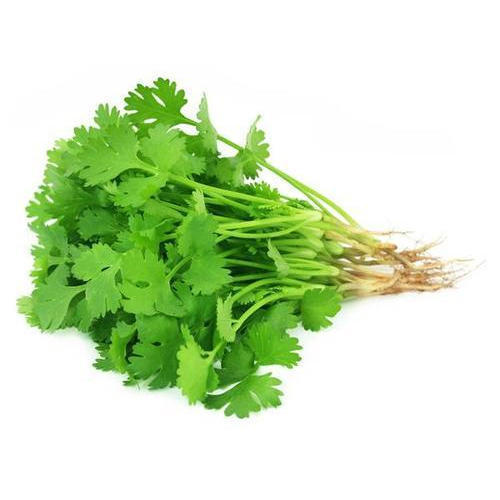 Coriandre ‎Thai(Pcs‎)