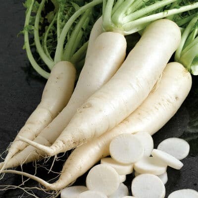 [FR1979-085] Radis Blanc (Kg) MAOXIONG