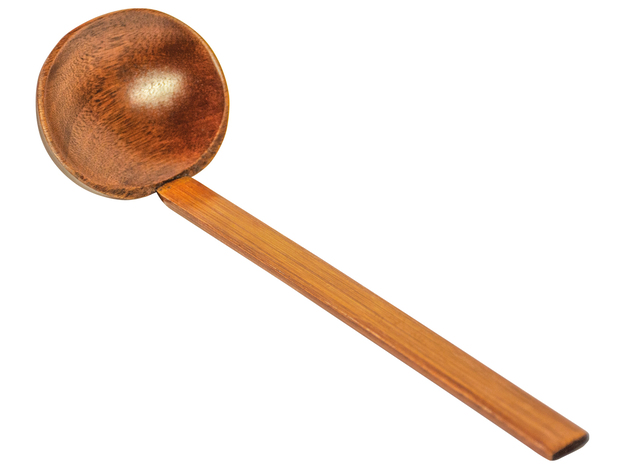 [NF2020-062] Cuillère Ramen GOLDEN TURTEL