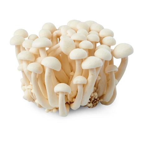 [FR1979-095] Champignons Blancs Shimeji 150 GR MAOXIONG